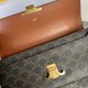 CELINE Chain Bag in Triomphe Canvas