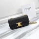 CELINE  Chain Bag in Triomphe Canvas