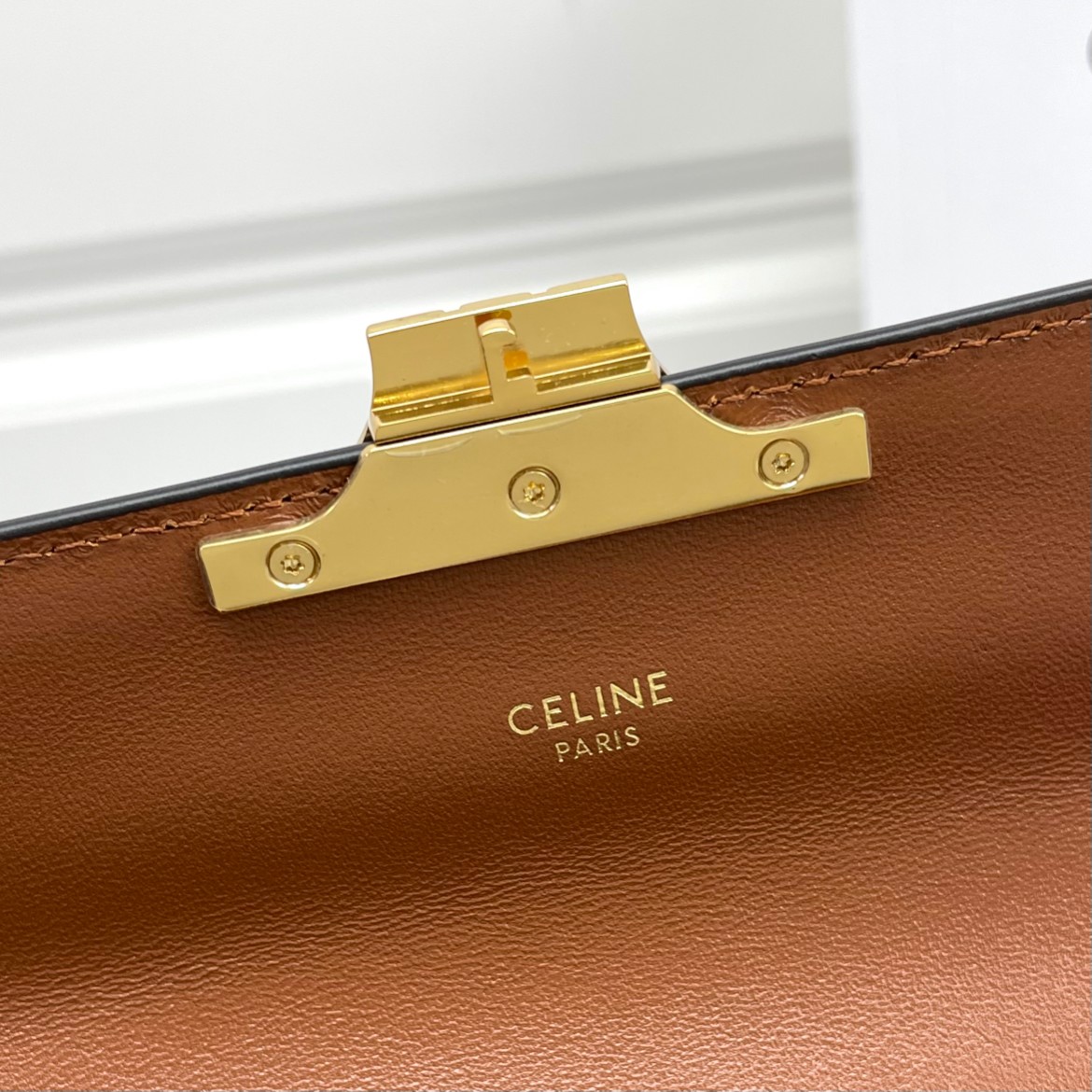 CELINE  Chain Bag in Triomphe Canvas