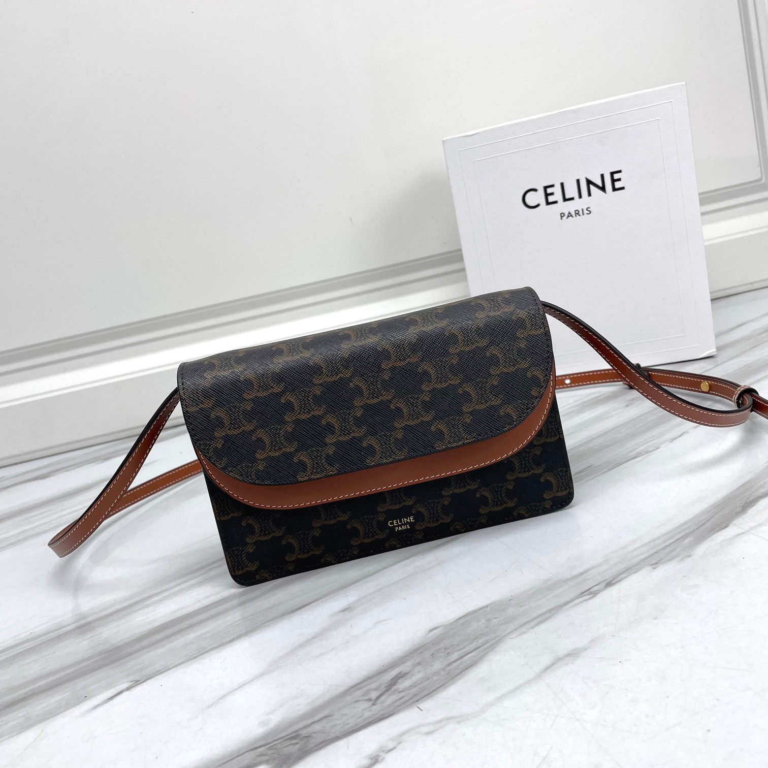 CELINE Wallet on Strap in Triomphe Canvas