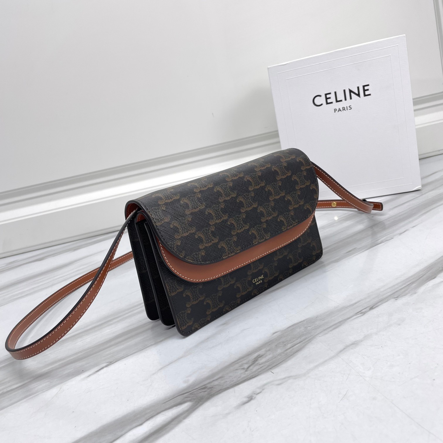 CELINE Wallet on Strap in Triomphe Canvas