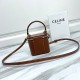 CELINE Mini Vanity Case Calfskin Tan