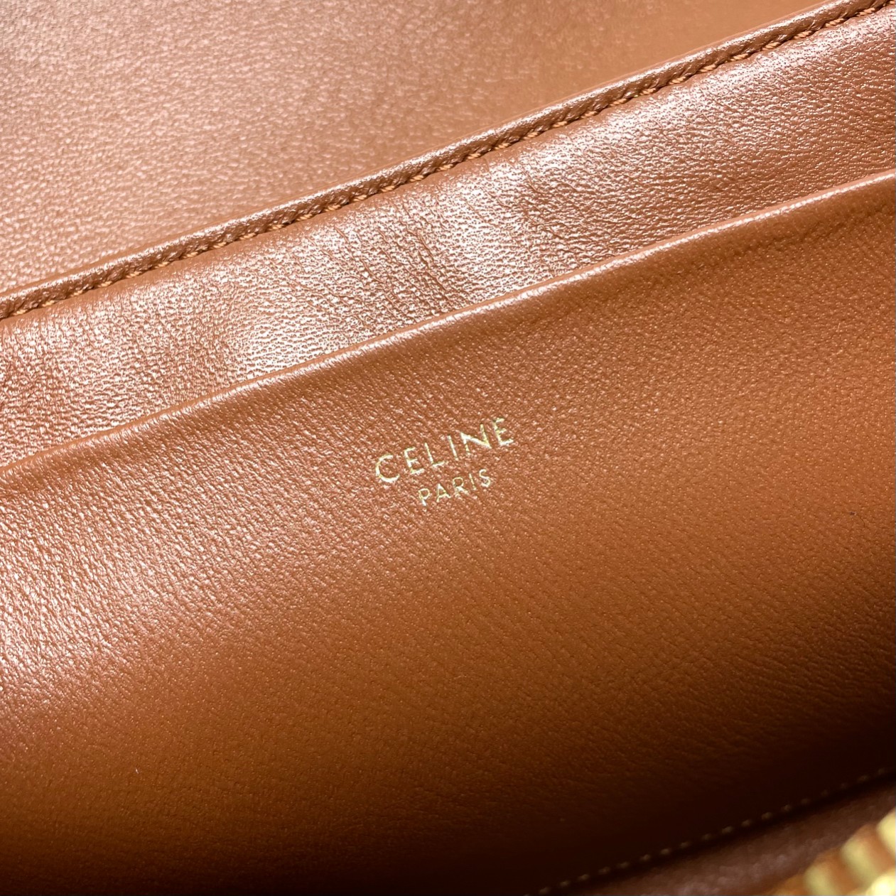 CELINE Medium Victoire Bag In Triomphe Canvas