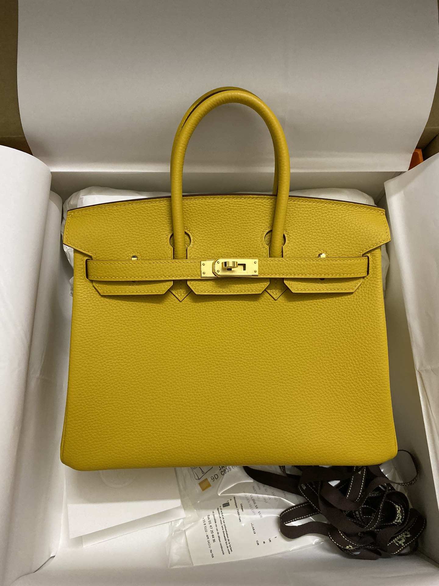 HERMES Birkin 25 Jaune Ambre Togo Gold-tone Hardware