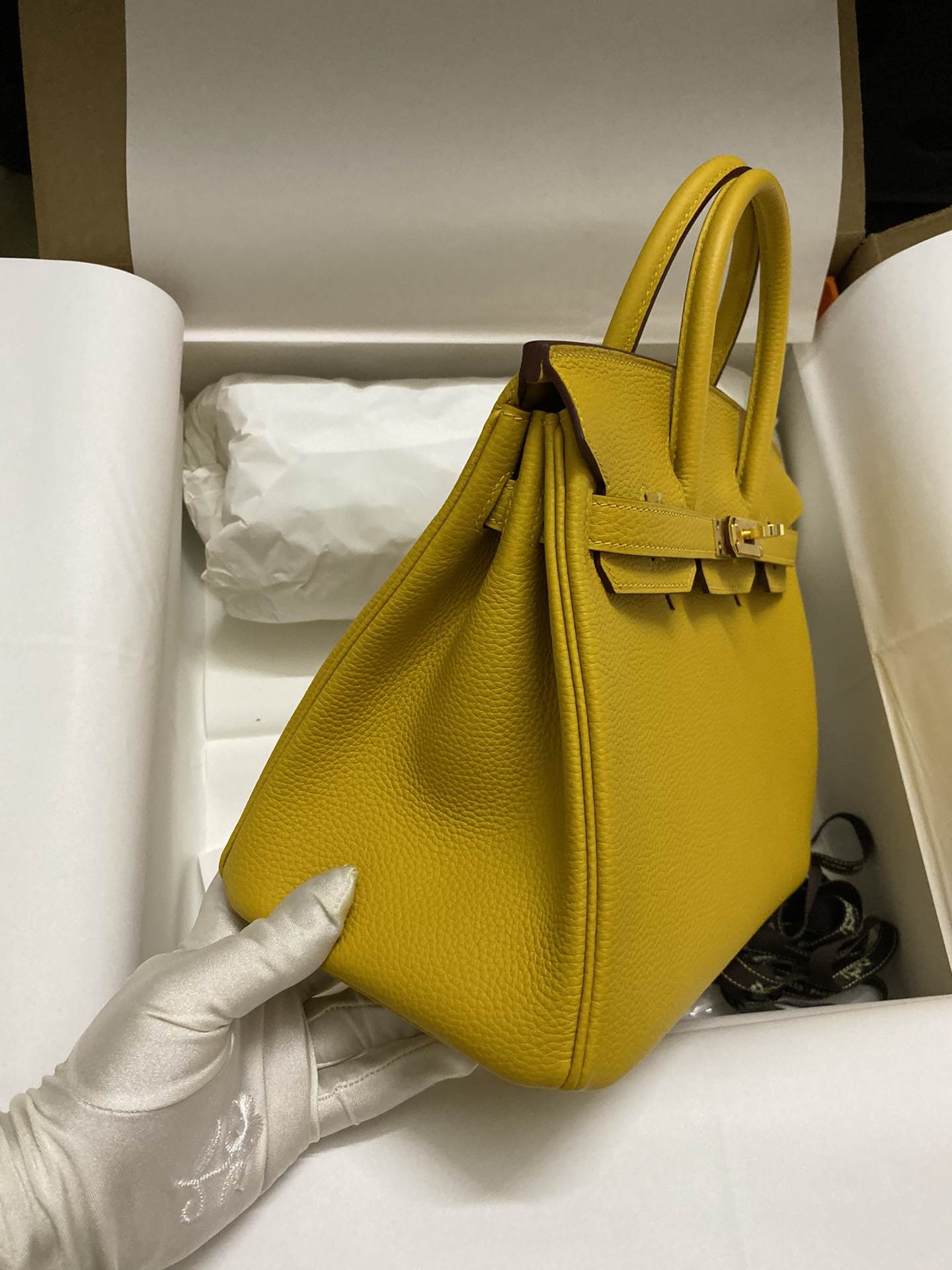 HERMES Birkin 25 Jaune Ambre Togo Gold-tone Hardware