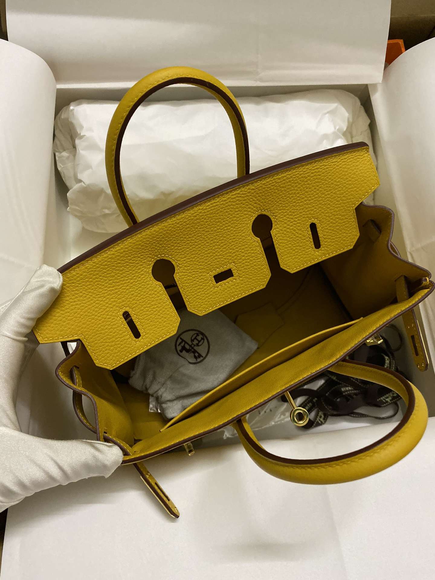 HERMES Birkin 25 Jaune Ambre Togo Gold-tone Hardware