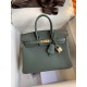 HERMES Birkin 25 Vert amande Togo Gold-tone Hardware