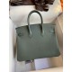 HERMES Birkin 25 Vert amande Togo Gold-tone Hardware