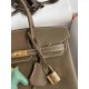 HERMES Birkin 25 Etoupe Togo Gold-tone Hardware