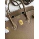 HERMES Birkin 25 Etoupe Togo Gold-tone Hardware