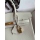 HERMES Birkin 25 Craie Togo Gold-tone Hardware