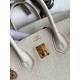 HERMES Birkin 25 Craie Togo Gold-tone Hardware