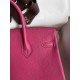 HERMES Birkin 25 Fuschia Togo Gold-tone Hardware