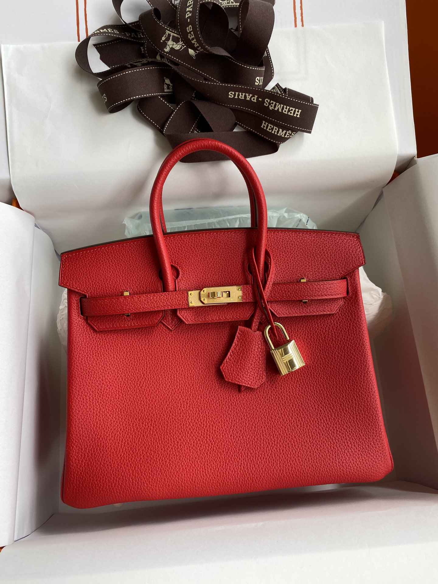 HERMES Birkin 25 Rouge De Corur Togo Gold-tone Hardware