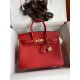 HERMES Birkin 25 Rouge De Corur Togo Gold-tone Hardware