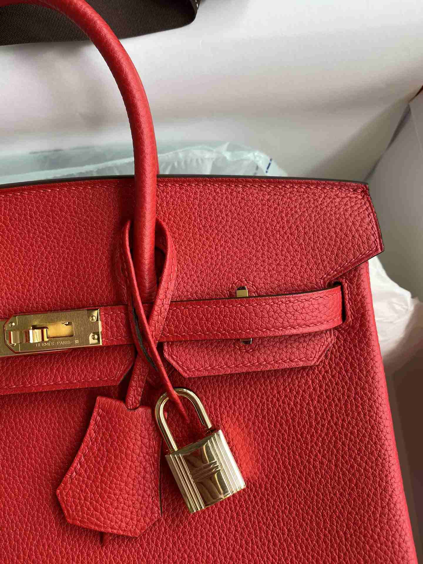 HERMES Birkin 25 Rouge De Corur Togo Gold-tone Hardware