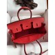 HERMES Birkin 25 Rouge De Corur Togo Gold-tone Hardware