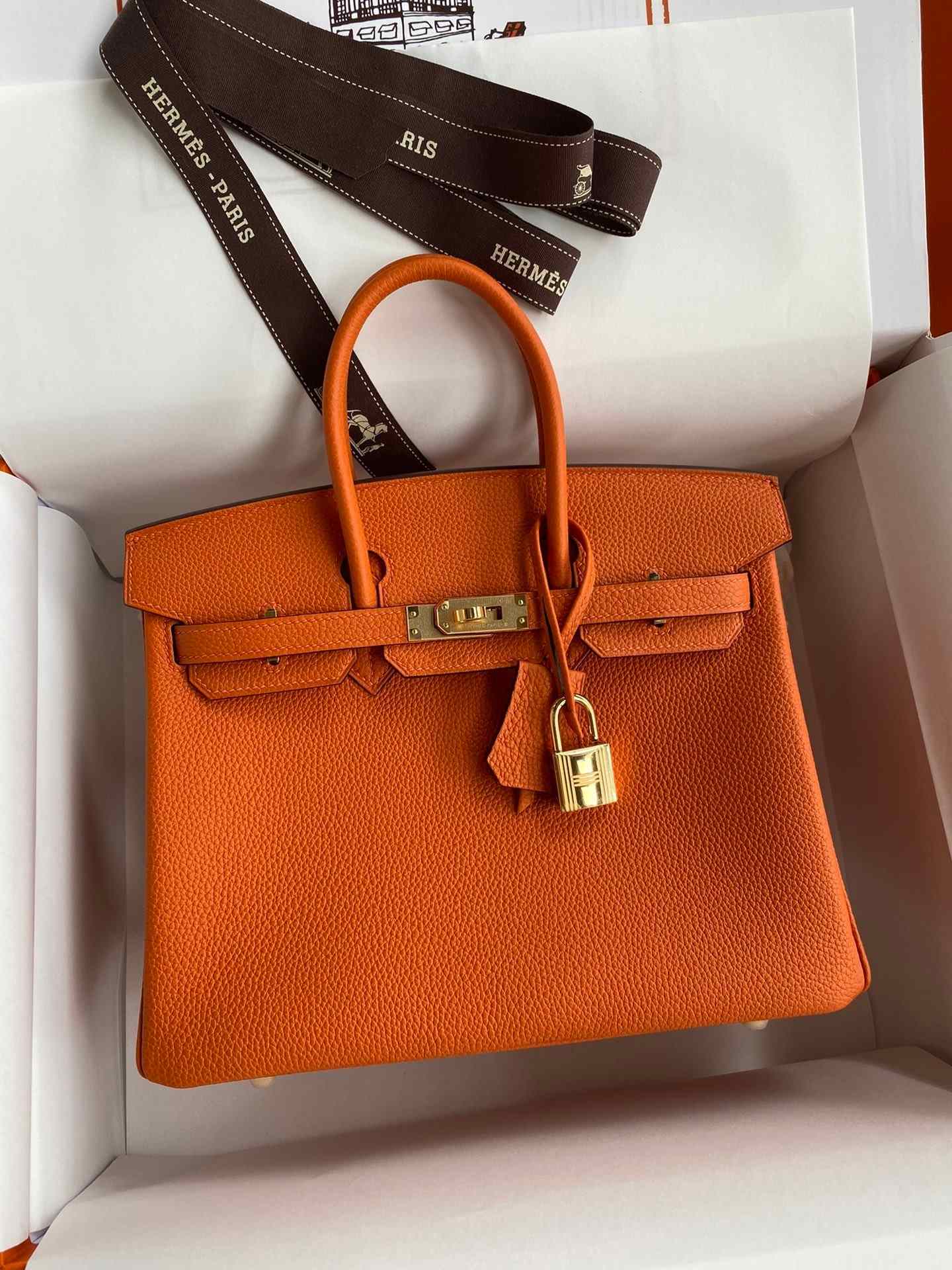 HERMES Birkin 25 Orange Togo Gold-tone Hardware