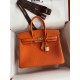 HERMES Birkin 25 Orange Togo Gold-tone Hardware