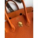 HERMES Birkin 25 Orange Togo Gold-tone Hardware