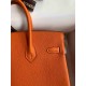 HERMES Birkin 25 Orange Togo Gold-tone Hardware