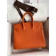 HERMES Birkin 25 Orange Togo Gold-tone Hardware