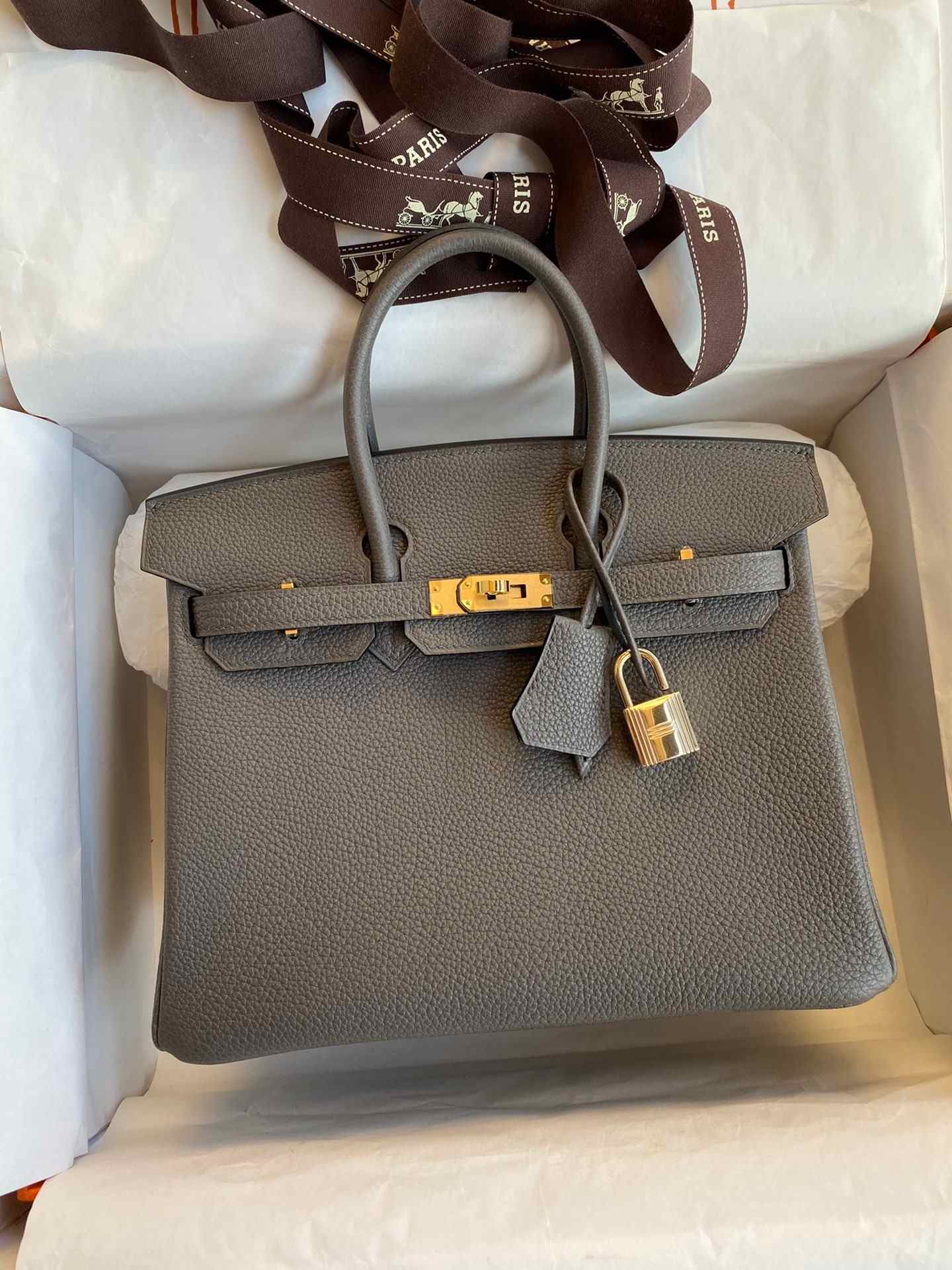 HERMES Birkin 25 Etain Togo Gold-tone Hardware