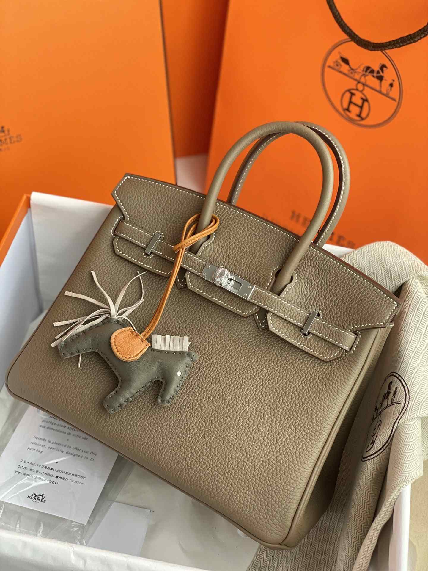 HERMES Birkin 25 Etoupe Togo Silver-tone Hardware