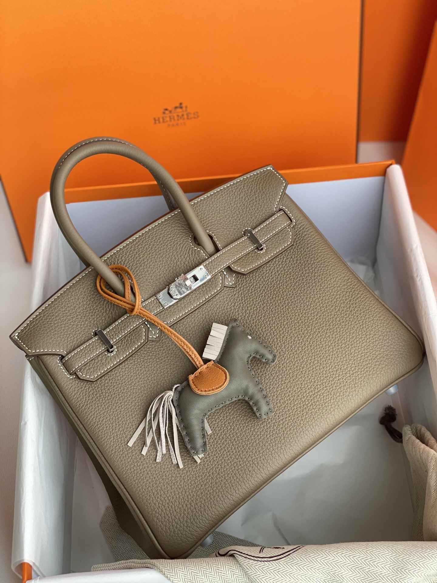 HERMES Birkin 25 Etoupe Togo Silver-tone Hardware