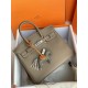 HERMES Birkin 25 Etoupe Togo Silver-tone Hardware