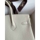 HERMES Birkin 25 Craie Togo Silver-tone Hardware