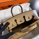 HERMES Birkin 25 Biscuit Epsom Gold-tone Hardware