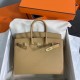 HERMES Birkin 25 Biscuit Epsom Gold-tone Hardware