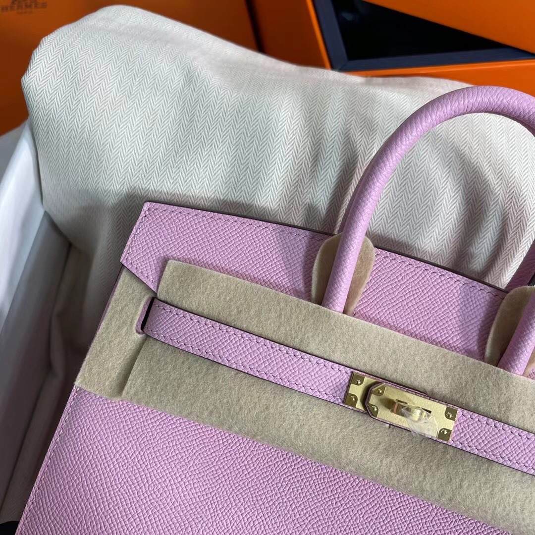 HERMES Birkin 25 Mauve Sylvestre Epsom Gold-tone Hardware