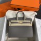 HERMES Birkin 25 Etain Epsom Gold-tone Hardware