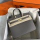 HERMES Birkin 25 Etain Epsom Gold-tone Hardware