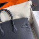 HERMES Birkin 25 Nior Epsom Gold-tone Hardware