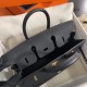 HERMES Birkin 25 Nior Epsom Gold-tone Hardware