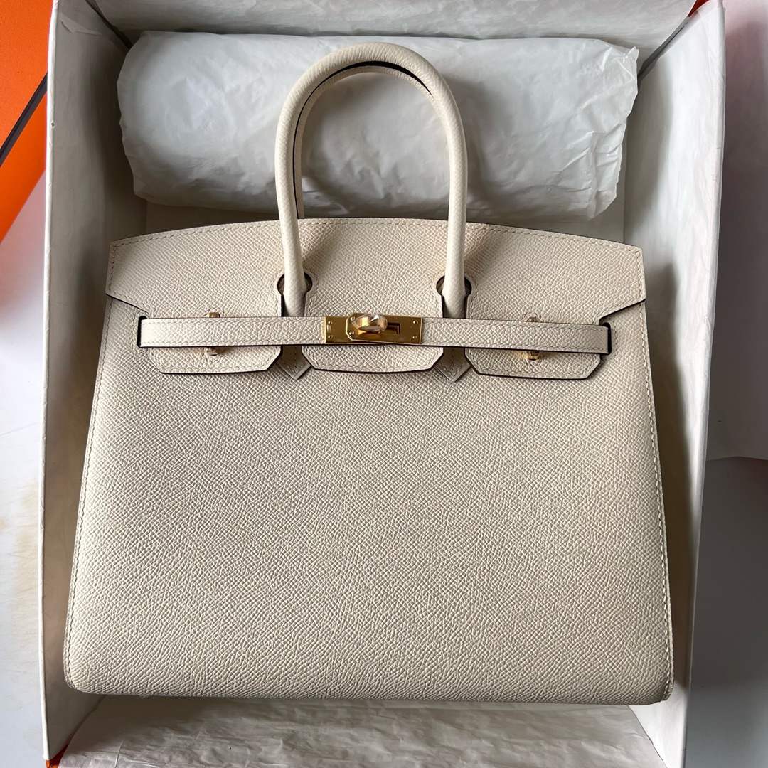 HERMES Birkin 25 Nata Epsom Gold-tone Hardware