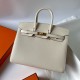 HERMES Birkin 25 Nata Epsom Gold-tone Hardware