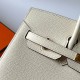 HERMES Birkin 25 Nata Epsom Gold-tone Hardware