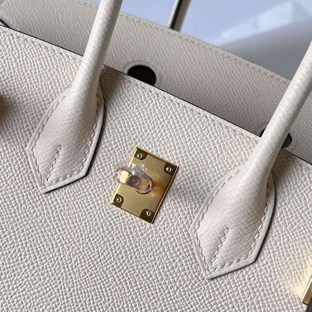 HERMES Birkin 25 Nata Epsom Gold-tone Hardware