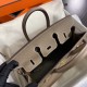 HERMES Birkin 25 Etoupe Epsom Gold-tone Hardware