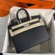 HERMES Birkin 25 Nior Epsom Silver-tone Hardware