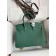 HERMES Birkin 25 Malachite Epsom Silver-tone Hardware