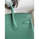 HERMES Birkin 25 Malachite Epsom Silver-tone Hardware