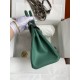 HERMES Birkin 25 Malachite Epsom Silver-tone Hardware