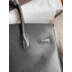 HERMES Birkin 30 Nior Epsom Silver-tone Hardware