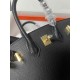 HERMES Birkin 30 Nior Epsom Gold-tone Hardware