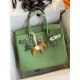 HERMES Birkin 30 Vert Criquet Epsom Gold-tone Hardware